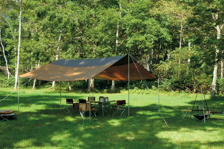 特価 新品 スノーピーク アメニティ タープ レクタL セット｜スポーツ  