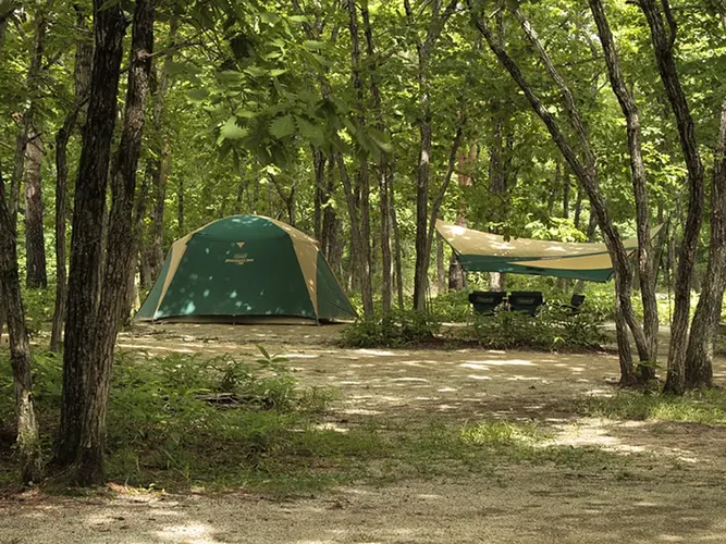 羽鳥 湖 高原 レジーナ の 森 キャンプ